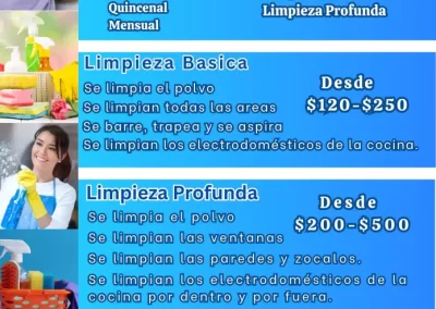 Cleaning Services (14)