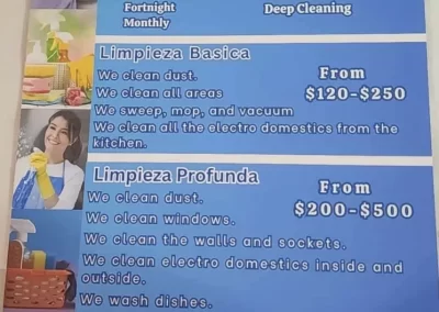 Cleaning Services (9)