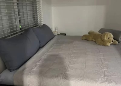 Impeccable Cleaning Services
